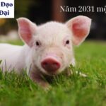 Năm 2031 mệnh gì