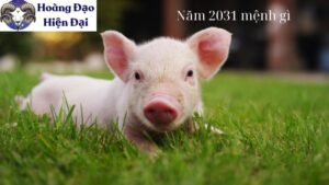 Năm 2031 mệnh gì