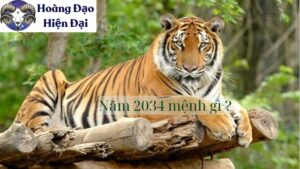 Năm 2034 mệnh gì