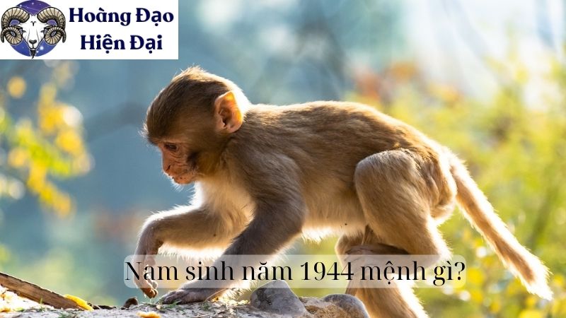 Nam sinh năm 1944 mệnh gì