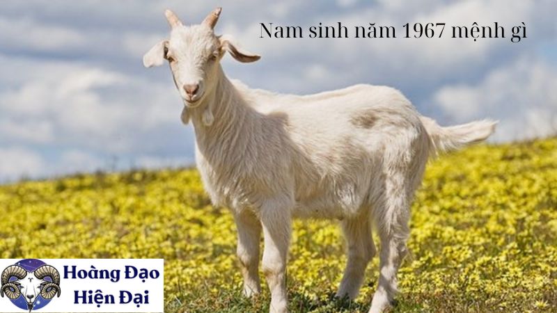 Nam sinh năm 1967 mệnh gì