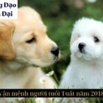 Vận mệnh người tuổi Tuất năm 2018