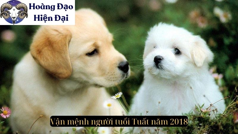 Vận mệnh người tuổi Tuất năm 2018