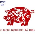 vận mệnh người tuổi kỷ hợi 2019