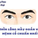 Nhìn lông mày đoán vận mệnh có chuẩn nhất