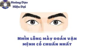 Nhìn lông mày đoán vận mệnh có chuẩn nhất