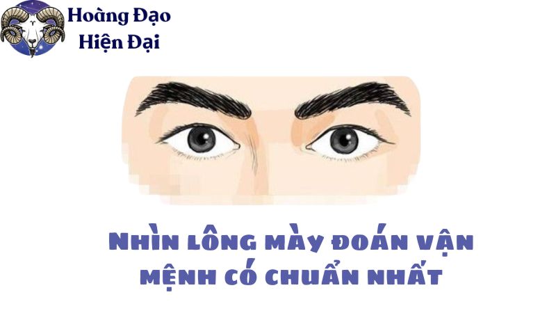 Nhìn lông mày đoán vận mệnh có chuẩn nhất